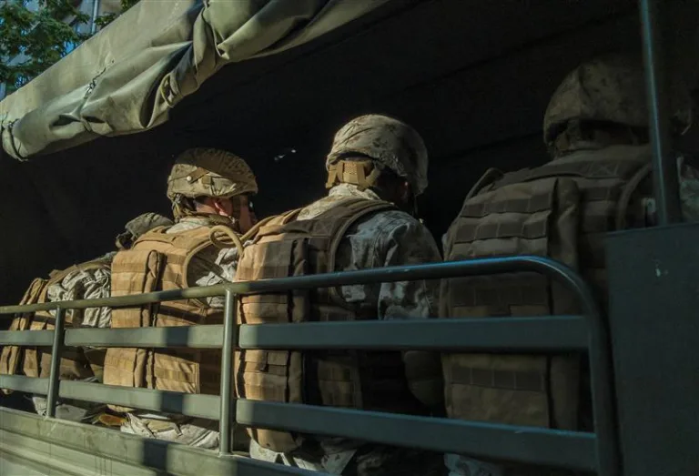 Veterans Mental health support